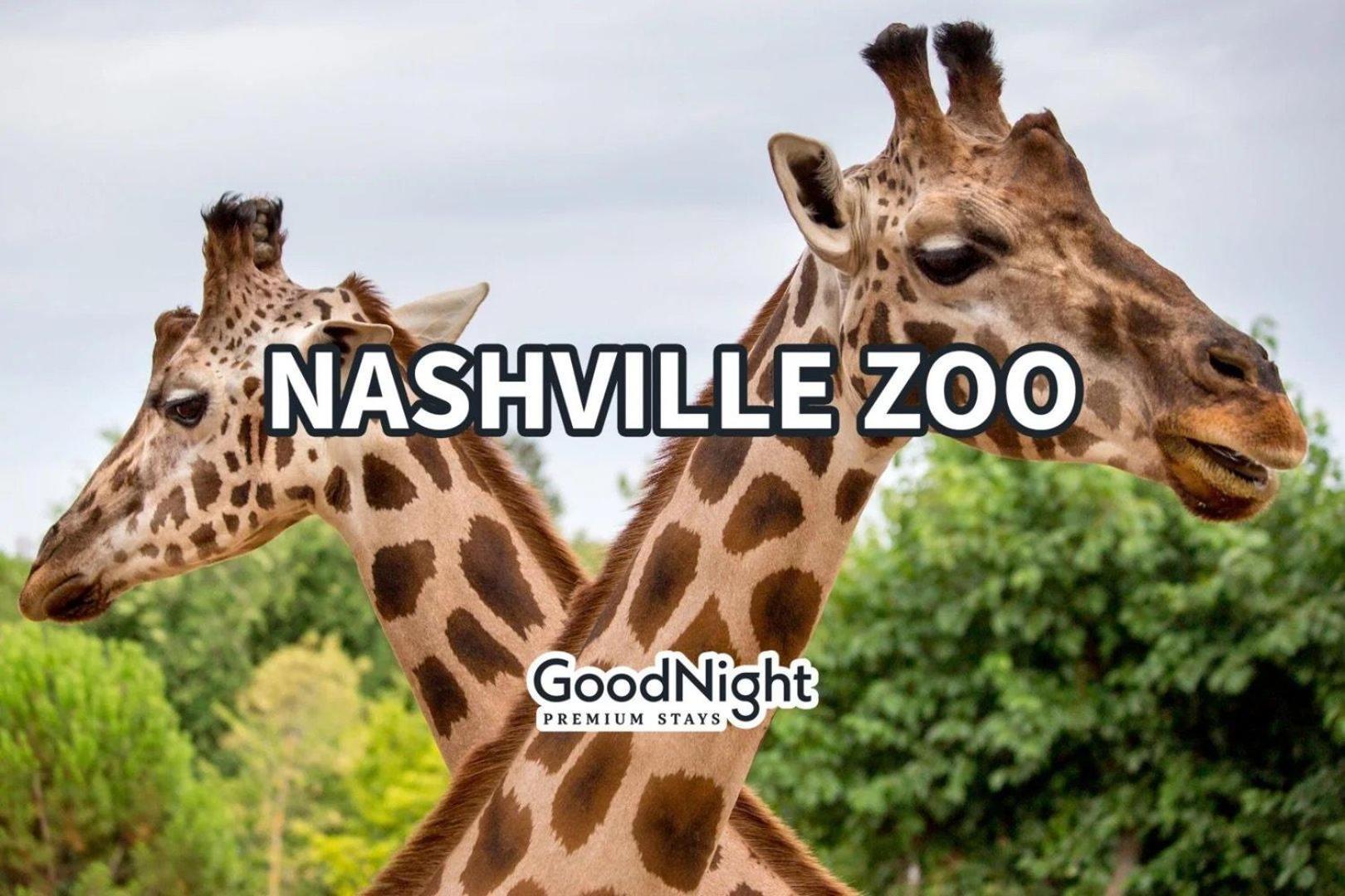 Country Lyric - Mins To Downtown - Rooftop Deck Nashville Exteriér fotografie